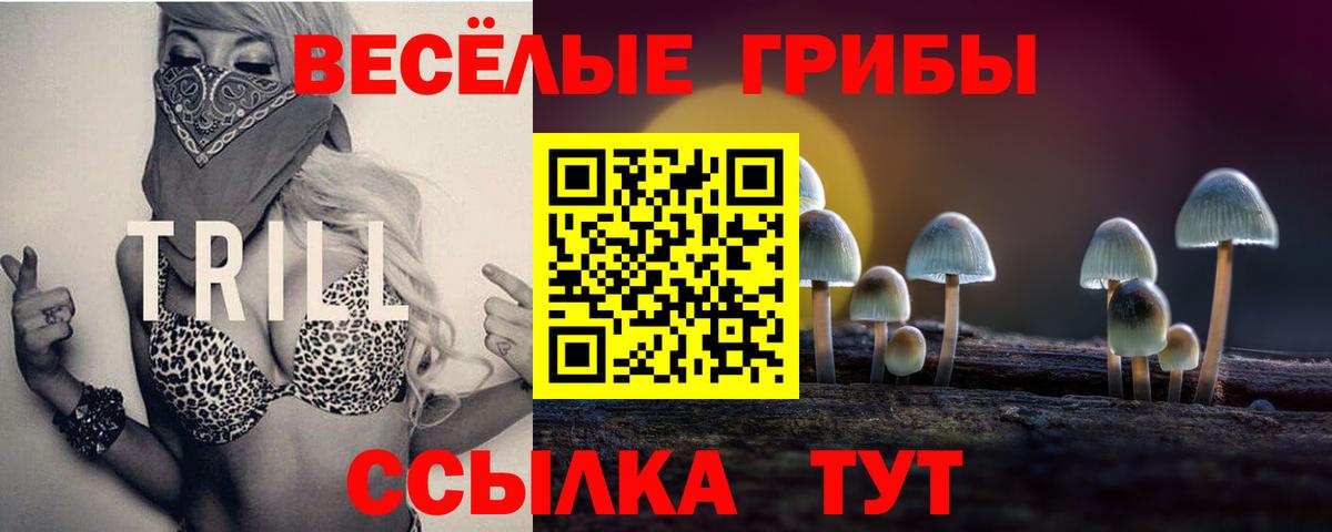 Галлюциногенные грибы Psilocybe  что такое   Нефтеюганск  Вход с VPN 